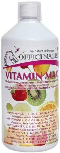 Officinalis Vitamineral Max 1kg