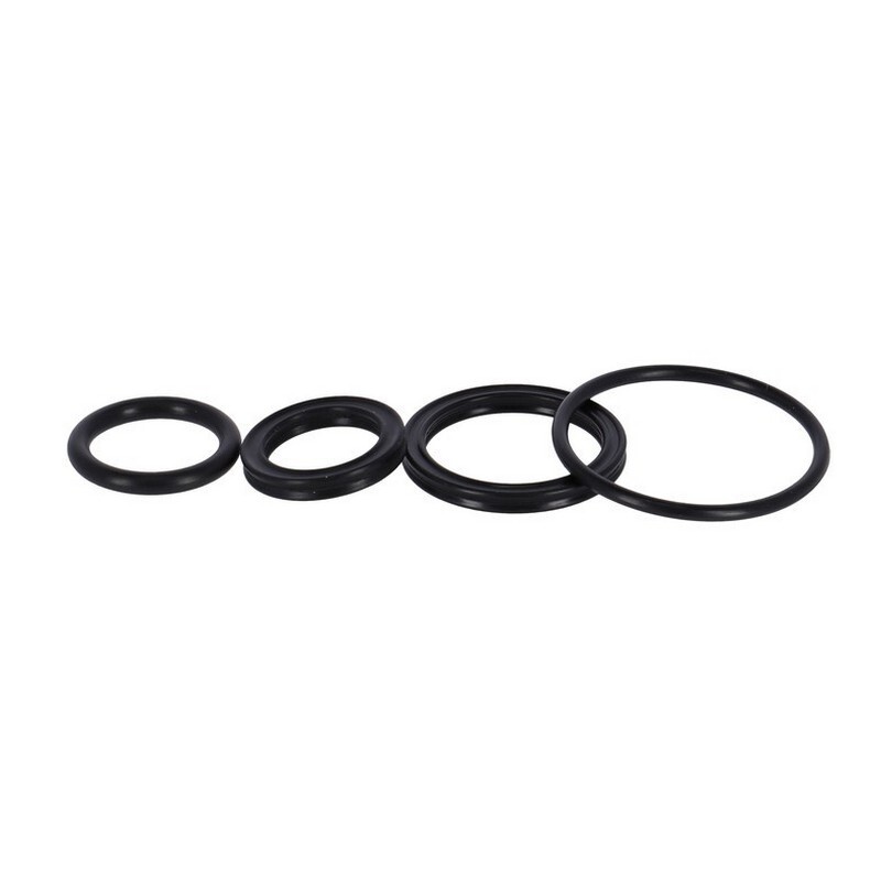 kit paraolio rs16 raidon lo/r SUNTOUR Officina