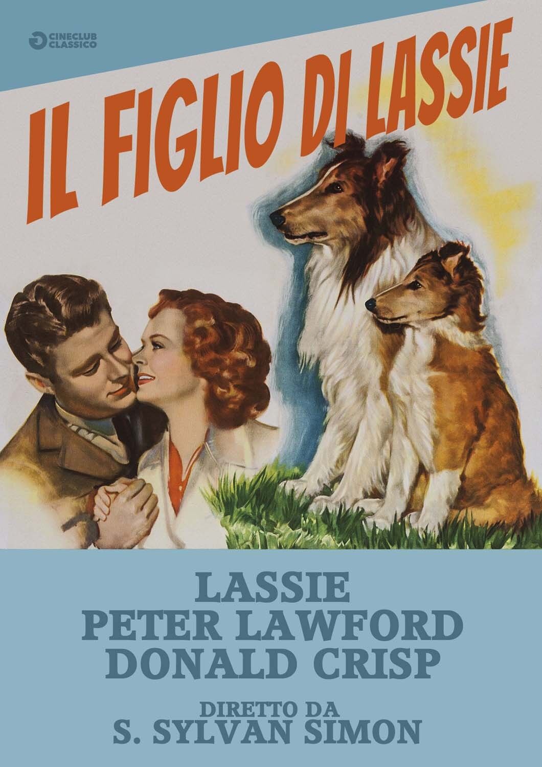 Il Figlio Di Lassie DVD GOLEM VIDEO