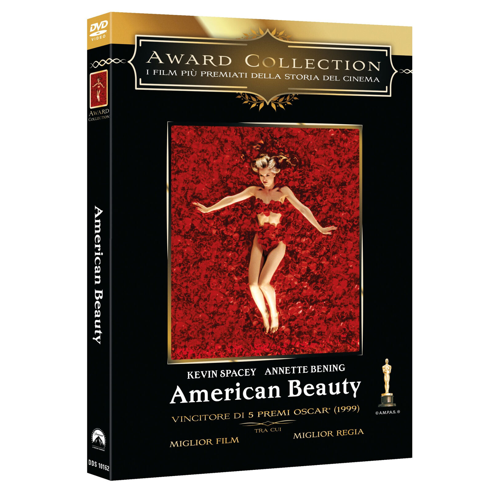 American Beauty (Dvd)