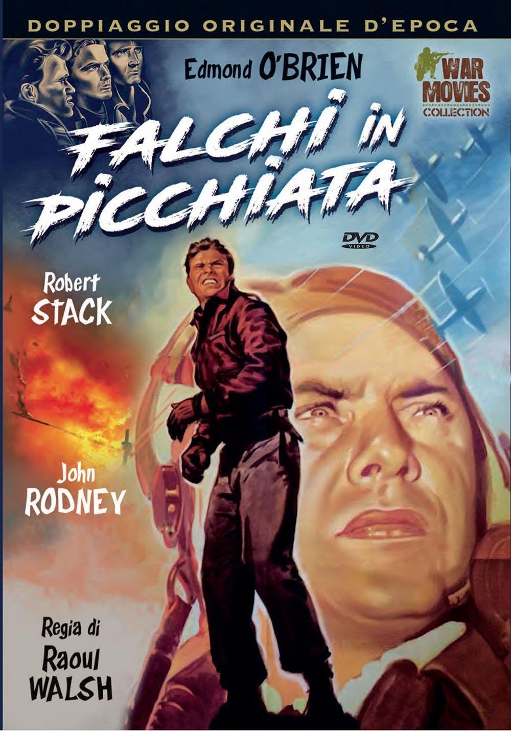 Falchi In Picchiata (1 DVD) - Movie