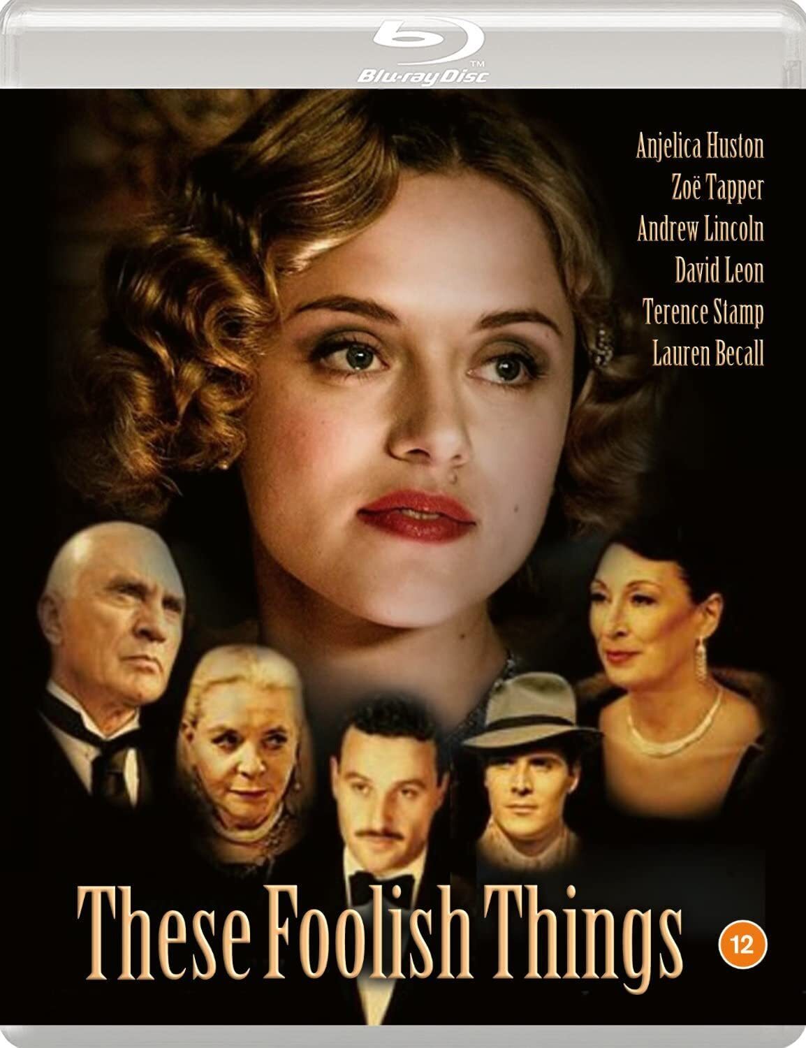 These Foolish Things (Blu-ray) Andrew Lincoln Terence Stamp Anjelica Huston