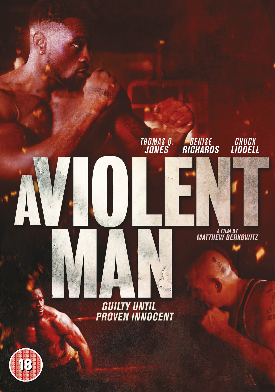 A Violent Man (DVD) Khalilah Joi Bruce Davison Jon Sklaroff Isaach De Bankolé