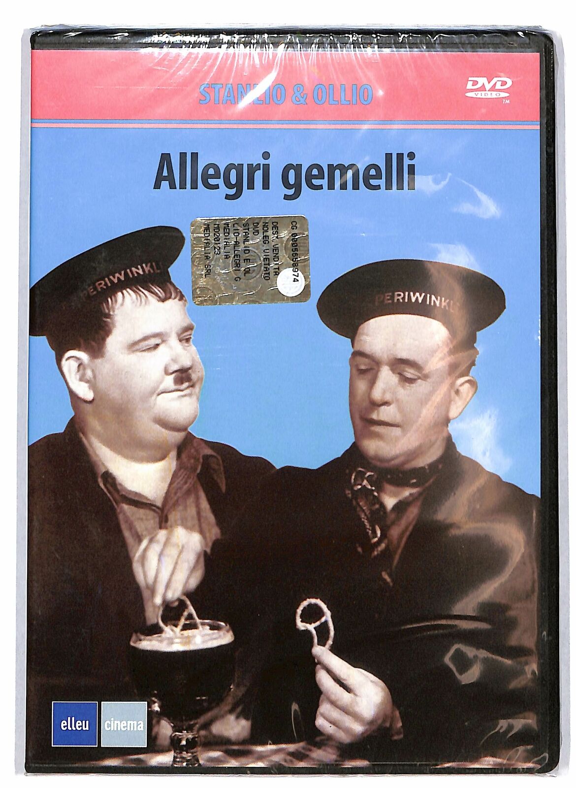 Allegri gemelli DVD