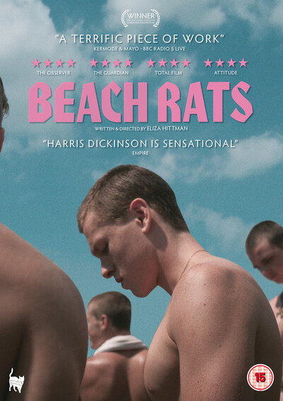 Beach Rats (DVD) Madeline  Weinstein Nicole Flyus Kate Hodge Neal Huff