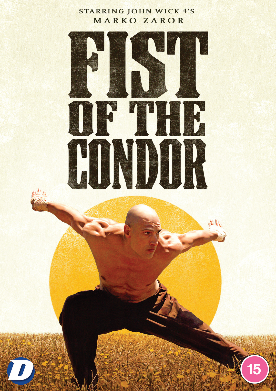 Fist of the Condor (DVD) Marko Zaror Man Soo Yoon Fernanda Urrejola Gina Aguad