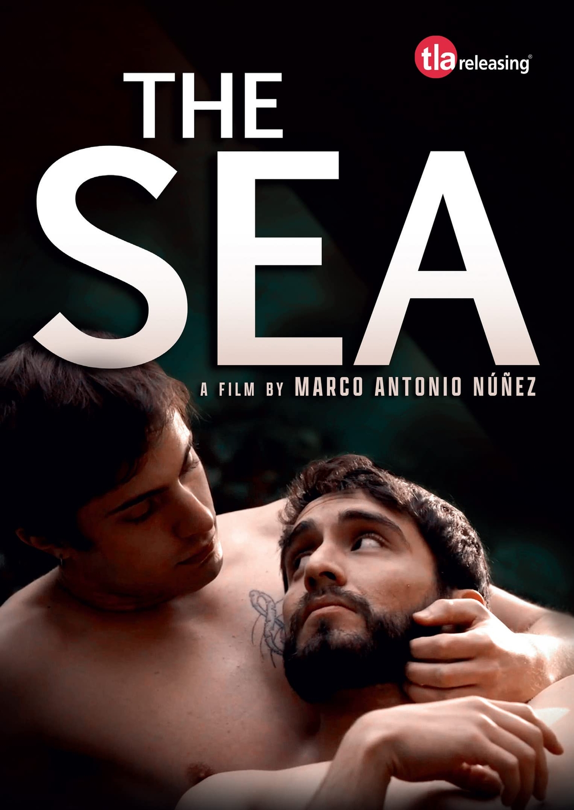 The Sea (DVD) Ana Burgos Francisco Dañobeitía Marcelo Gutierrez