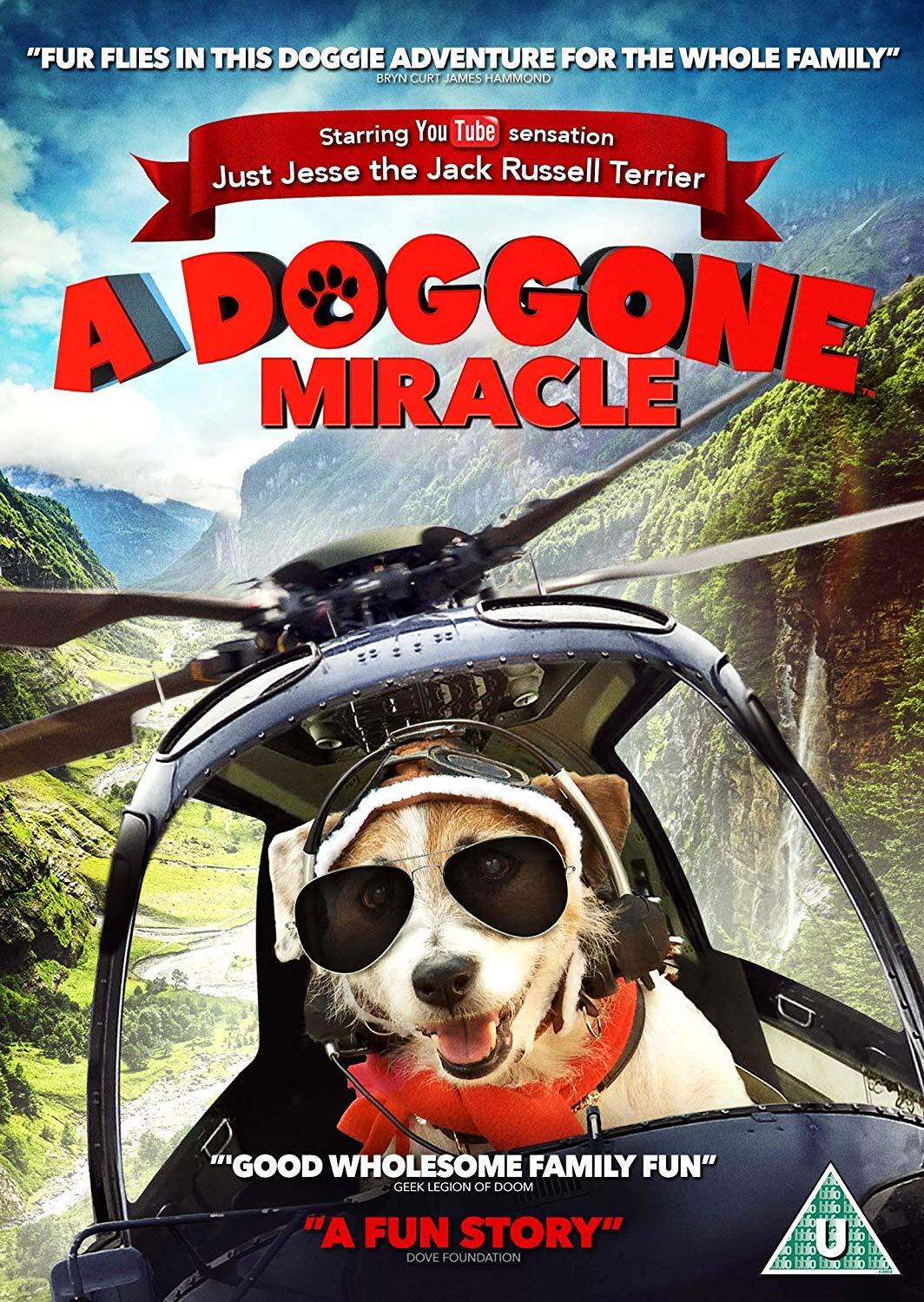 A Doggone Miracle (DVD) Cynthia Rothrock Paul Logan