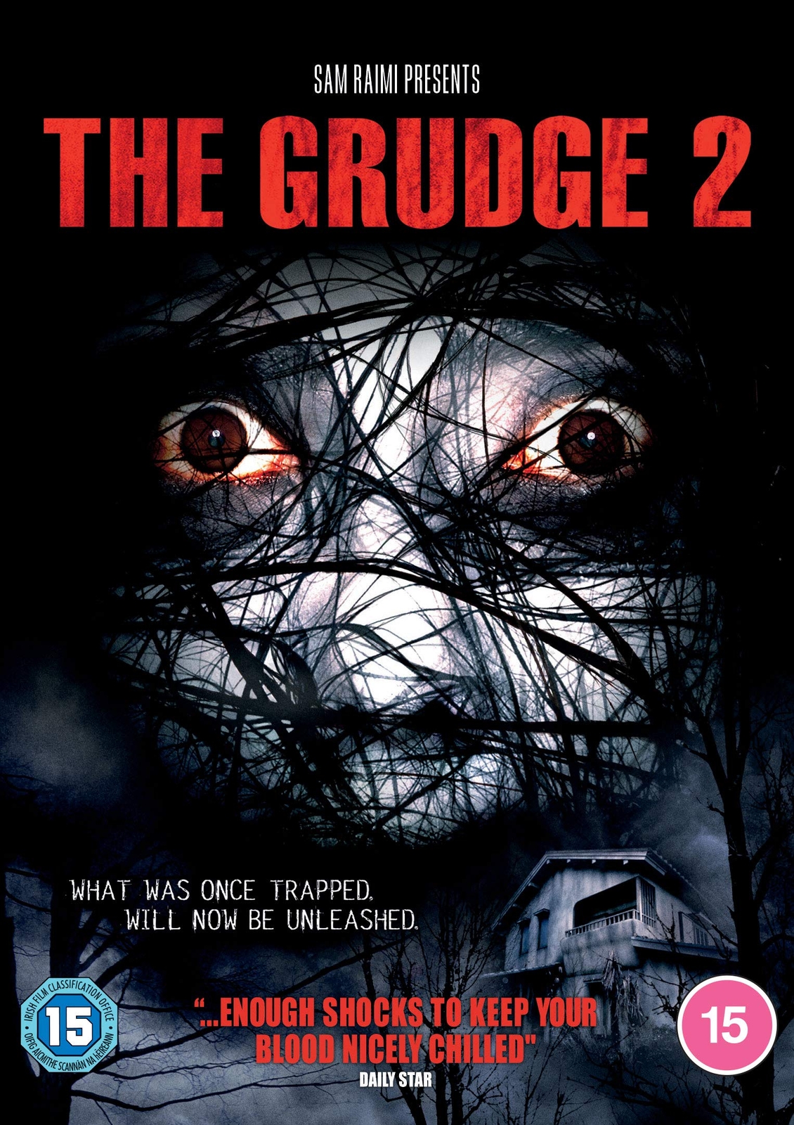 Grudge 2 (DVD) Amber Tamblyn Sarah Michelle Gellar Arielle Kebbel