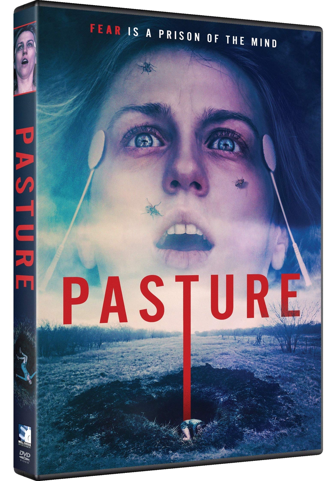 Pasture (DVD) Abigail Rose Brian Kelly Kimberley Pember Scott Scurlock