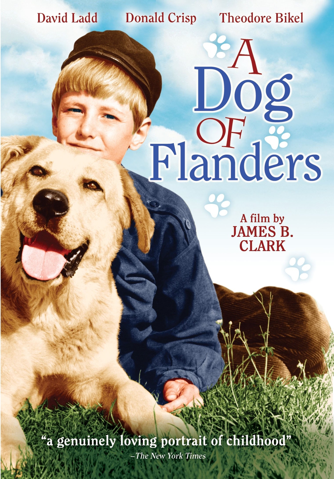 Dog of Flanders (DVD)