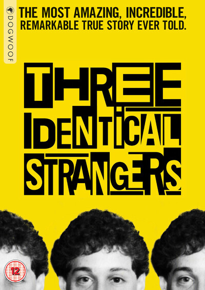 Three Identical Strangers (DVD) Silvi Alzetta-Reali Eddy Galland Ron Guttman