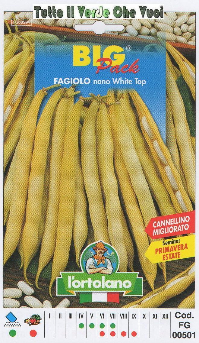 FAGIOLO NANO WHITE TOPBIG PACK - SEMI ORTICOLI -