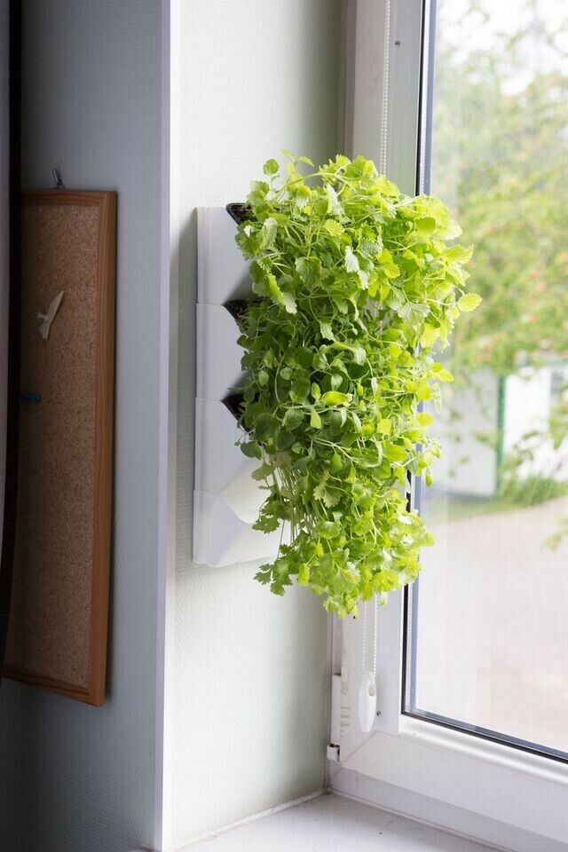 VERSA GARDEN HERBS AQUAEL HERBARIUM PORTA VASI SALVA SPAZIO A PARETE FIORIERA