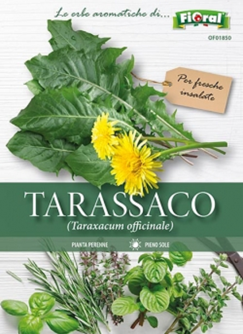 FIORAL TARASSACO O DENTE DI LEONE Linea buste Fiori Aromatiche-Officinali