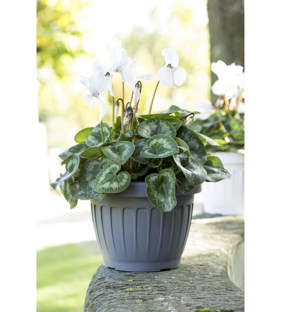 VASO TERRA  D. 25 GRIGIO