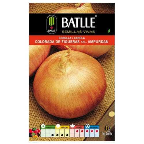 Semi ortaggi di Batlle - Cipolla colorata Figueras Ampurdan (4g)