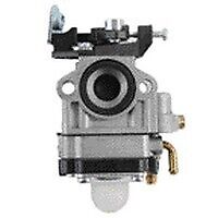 Carburatore dp 33