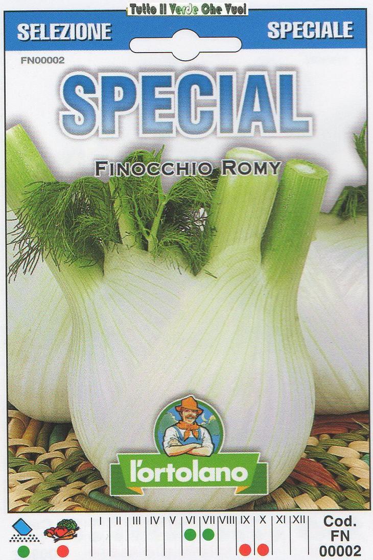 LATTUGA FINOCCHIO ROMY - SPECIAL