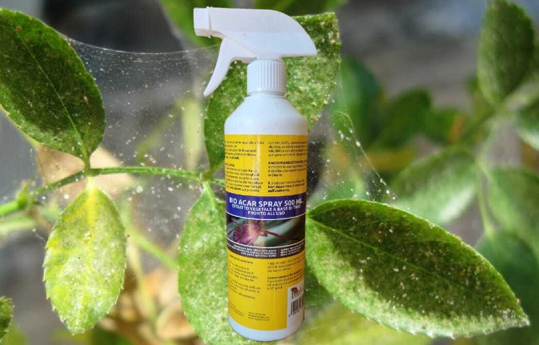 bioalt INSETTICIDA BIO ACAR ,ACARI RAGNETTO ROSSO E GIALLO PRONTO USO 500 ML