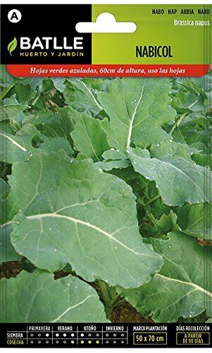 Batlle Vegetable Seeds - Turnips (Seeds) (d3L)