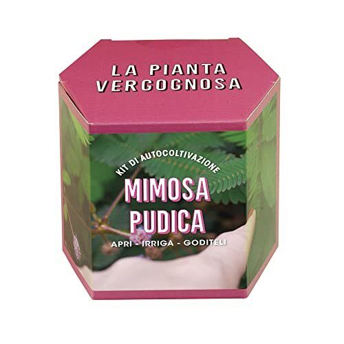 Resetea Kit di autocoltivazione Mimosa pudica, La pianta vergognosa (G4l)