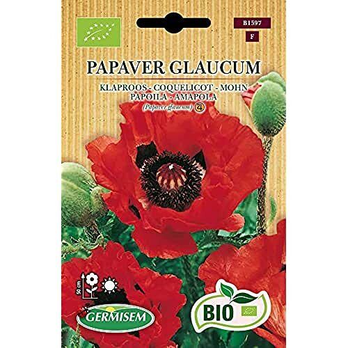 Germisem Biologico Papaver Glaucum Semi di Papavero 0.5 g (R2V)