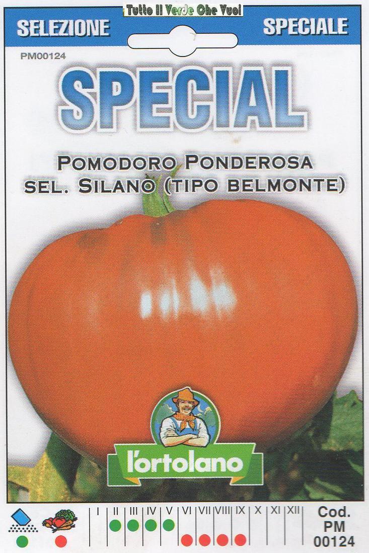 POMODORO PONDEROSA SEL. SILANO TIPO BELMONTE - SPECIAL
