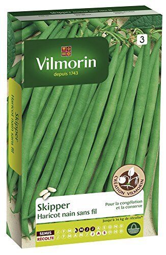 VILMORIN Haricot Skipper Sachet de graines - Création Vilmorin - (L6K)