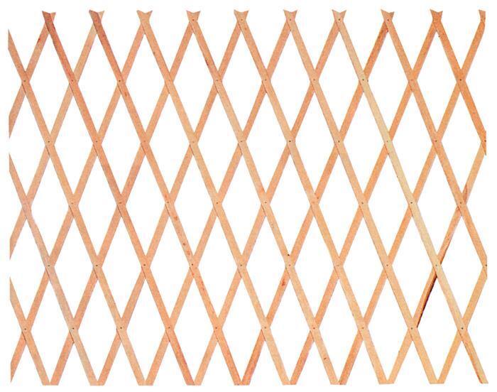 Traliccio Estensibile in Legno Dimensioni 100x200 Cm