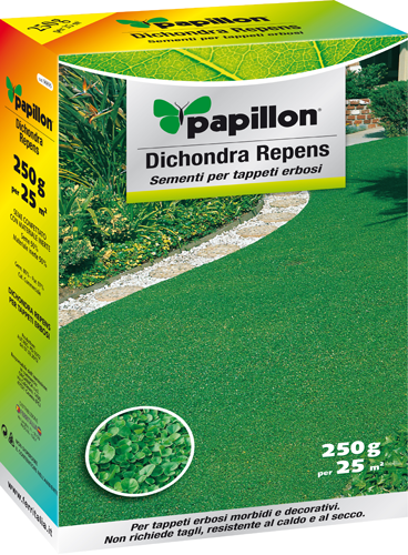 SEMI PRATO "DICHONDRA REPENS" PAPILLON - 250gr - ideale per aiuole