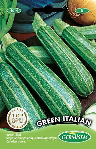 Germisem Green Italian Semi di Zucchine 3 g (G0R)