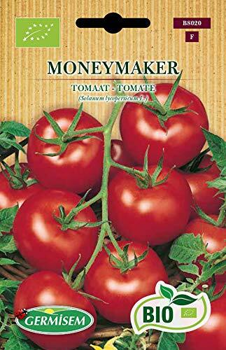 Germisem Biologico Moneymaker Semi di Pomodoro 0.5 g (y6d)