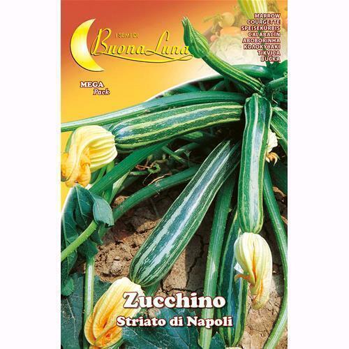 Semi Orto Zucchino Striato Napoli Articolo Da Giardinaggio Conf. 10 Pz