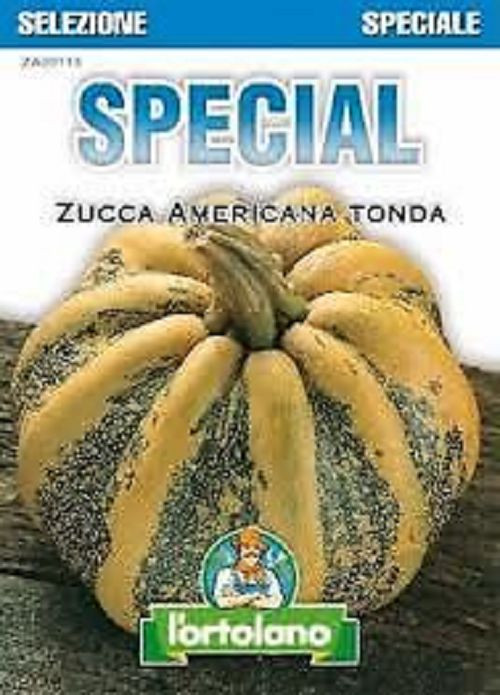 ZUCCA AMERICANA TONDA -SPECIAL