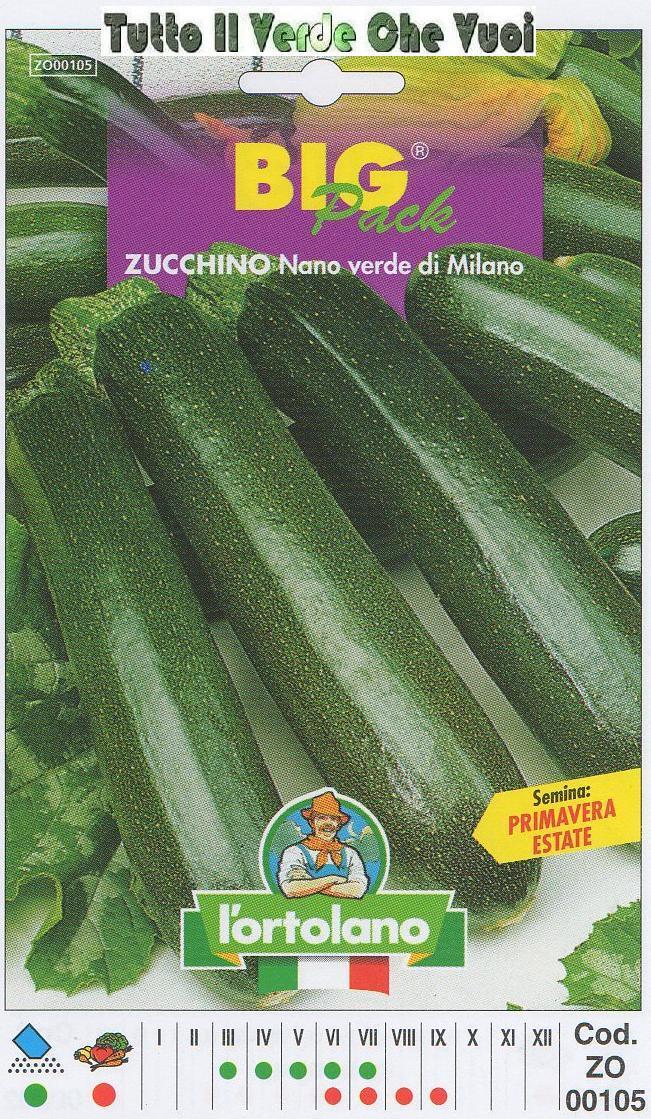 ZUCCHINO NANO VERDE DI MILANO BIG PACK - SEMI ORTICOLI