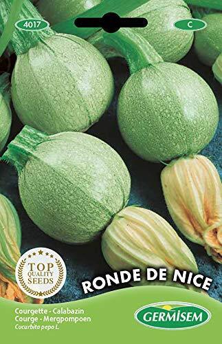 Courgette Ronde de Nice Semi di Zucchine 3 g (y4k)