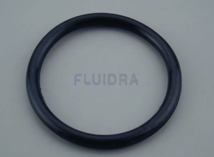 Guarnizione oring per calotta faro piscina Astralpool