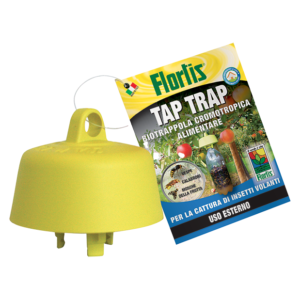 Flortis TAP TRAP Biotrappola Cromotropica x Insetti Volanti Tappo Esca Bottiglia