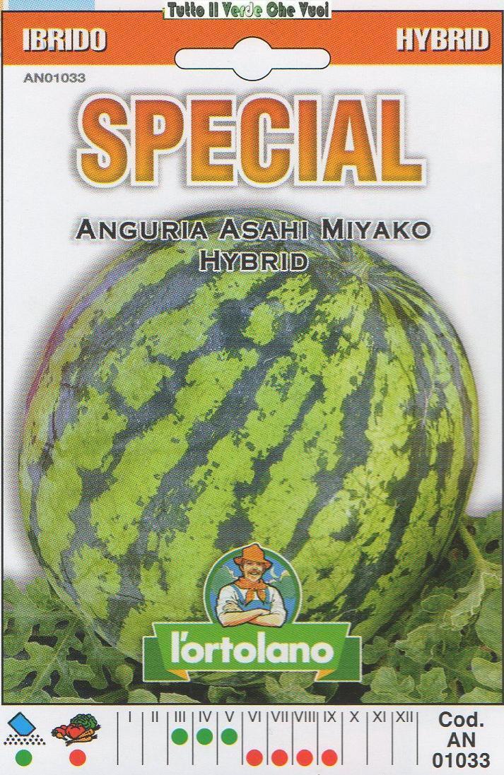 ANGURIA ASAHI MIYAKO HYBRID - SEMI SPECIAL IBRIDO -
