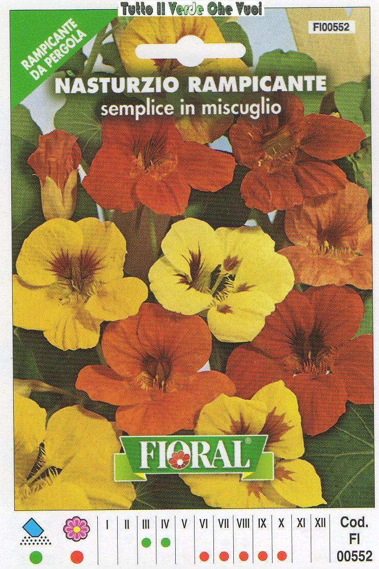 NASTURZIO RAMPICANTE SEMPLICE - RAMPICANTE DA PERGOLA-FLORAL - BUSTA SEMENTI