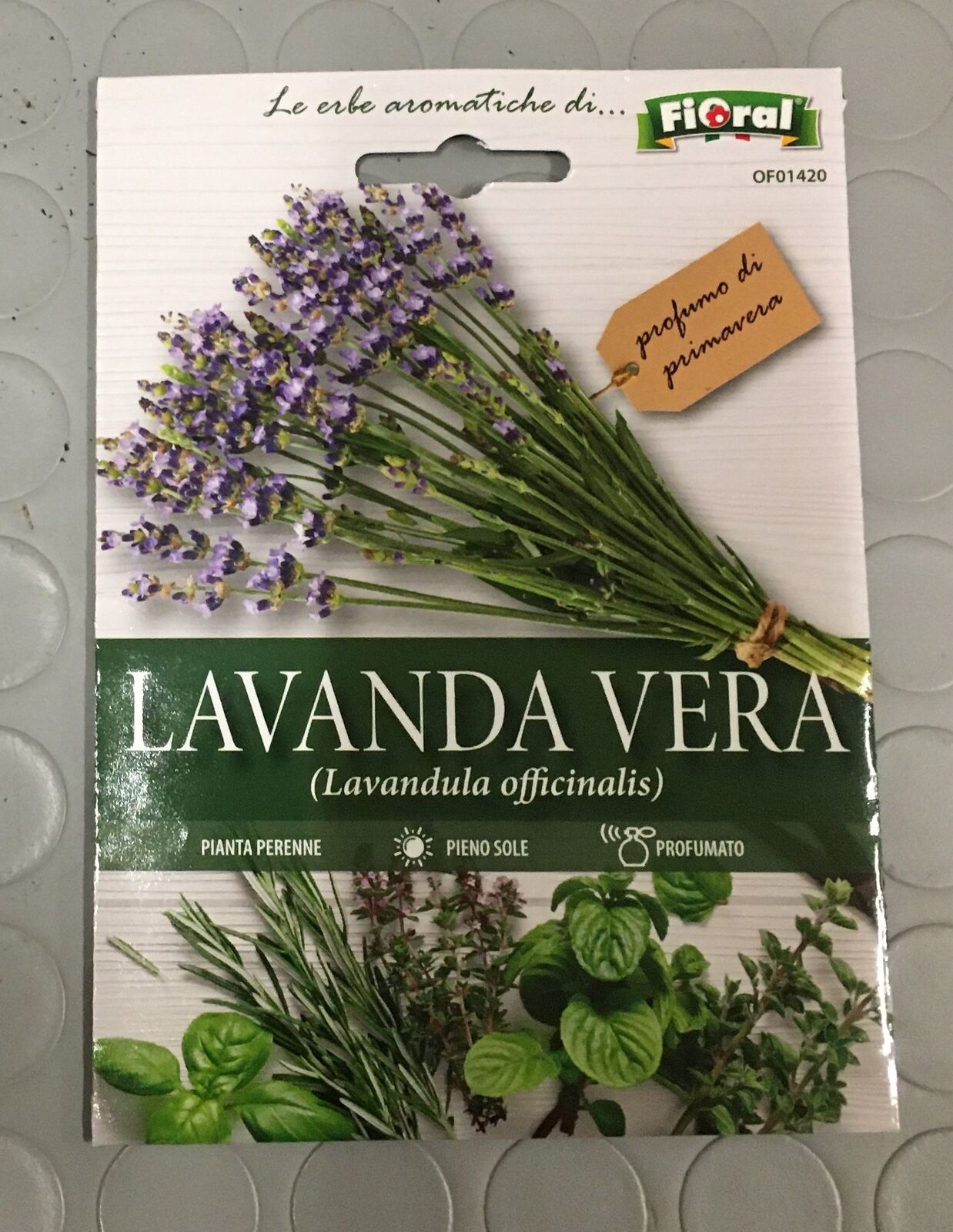 L'ORTOLANO SEME LAVANDA VERA LAVANDULA OFFICINALIS BUSTINA