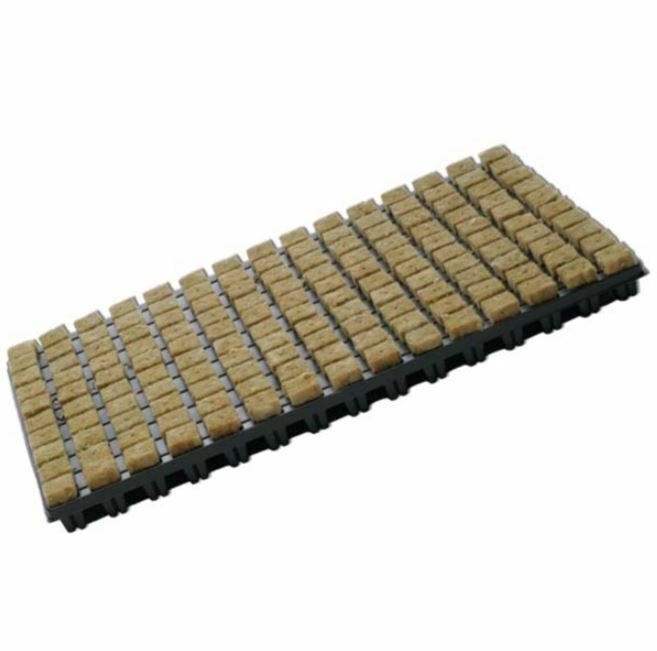 150x Cubo Germinazione Lana di Roccia Rockwool 2,5 X 2,5cm idroponica