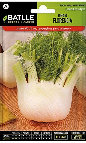 Batlle Vegetable Seeds - Tuber Fennel Florence (2000 semi) (R5B)