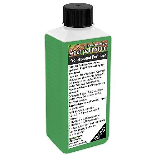 Fertilizzante per Acer Japonicum/Palmatum (acero giapponese, acero (y3u)