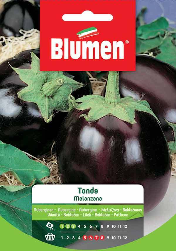 Blumen. Semi di Melanzana tonda