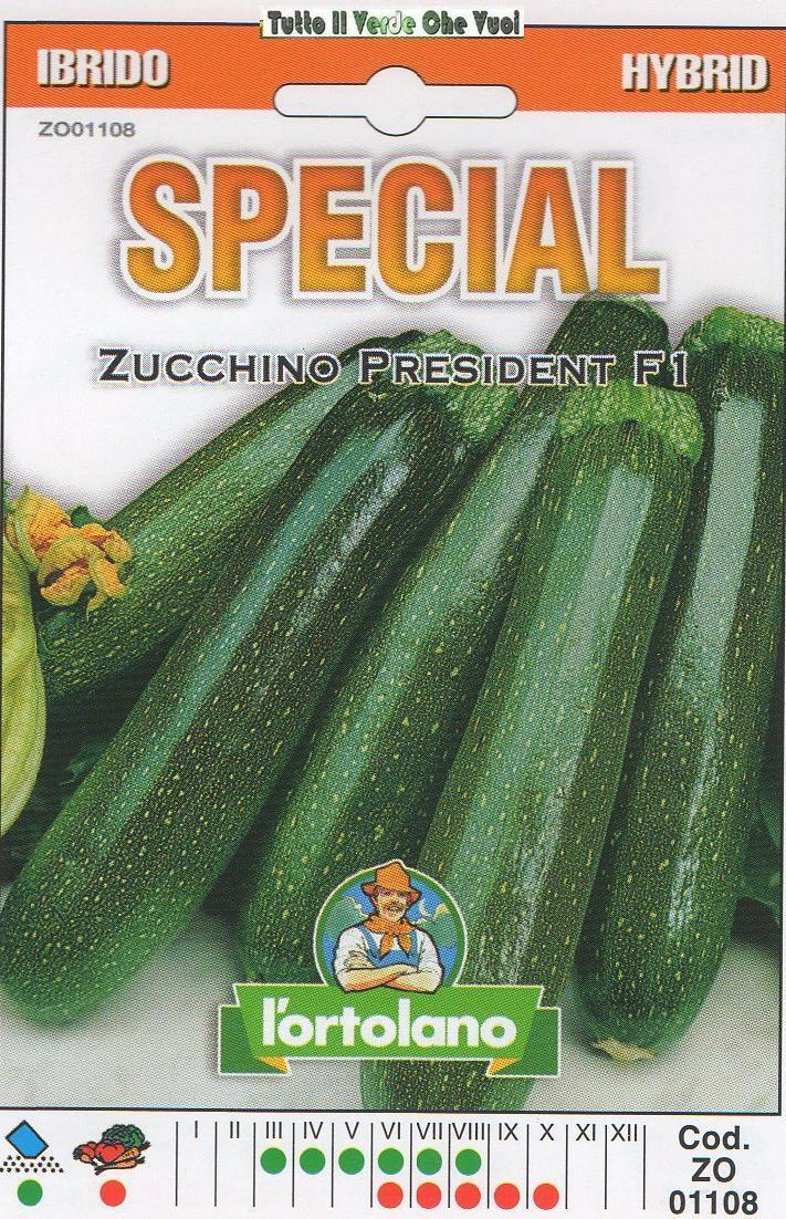 ZUCCHINO PRESIDENT F1 - HYBRID-SPECIAL L'ORTOLANO