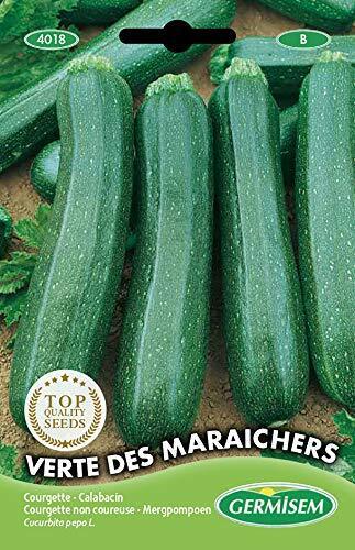 Germisem Verte Des Maraîchers Semi di Zucchine 3 g (P6s)