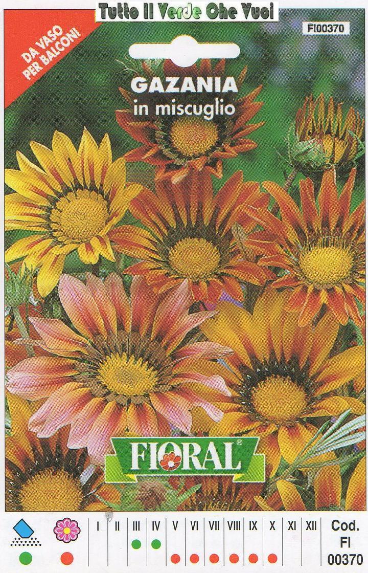GAZANIA IN MISCUGLIO - DA VASO PER BALCONI-FLORAL - BUSTA SEMENTI