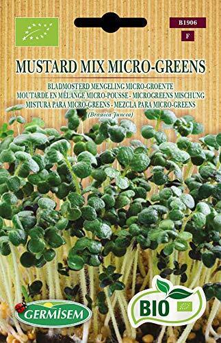 Germisem Biologico Mustard Mix Micro-Greens Semi 10 g (S4o)